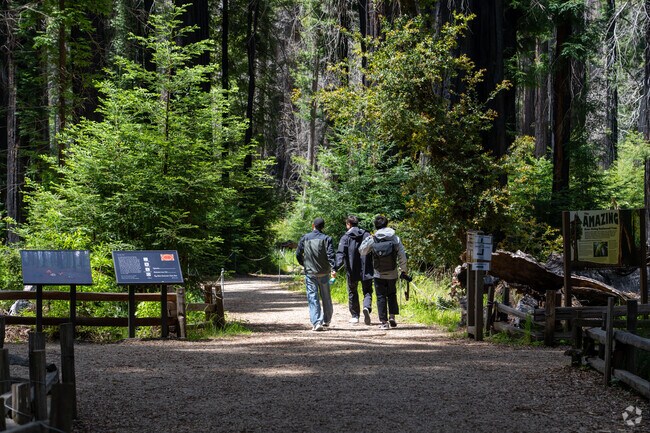 Located by Ben Lomond, Big Basin Redwoods State Park provides peaceful hikes through redwood canopies, with interpretive signs and fire recovery efforts enriching the journey.