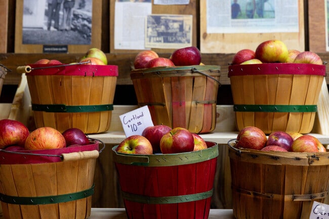 Farmer's markets are easier to find than grocery stores in Melbourne.
