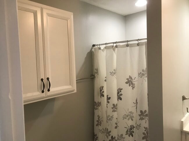 Bathroom storage cabinet