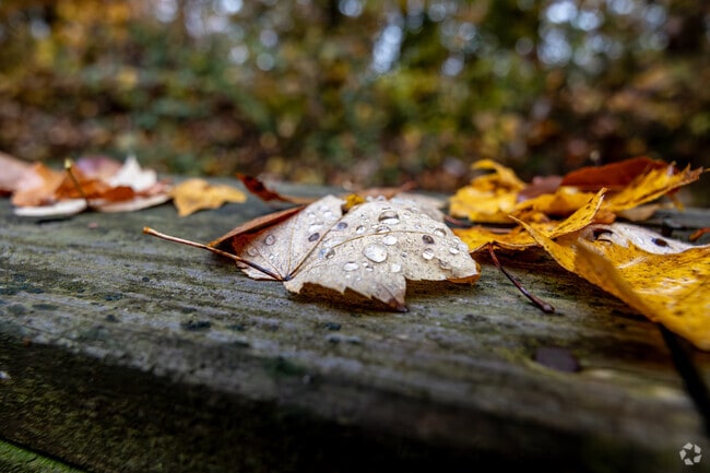 Fall brings out the beautiful textures, colors and creativity in New Franklin.
