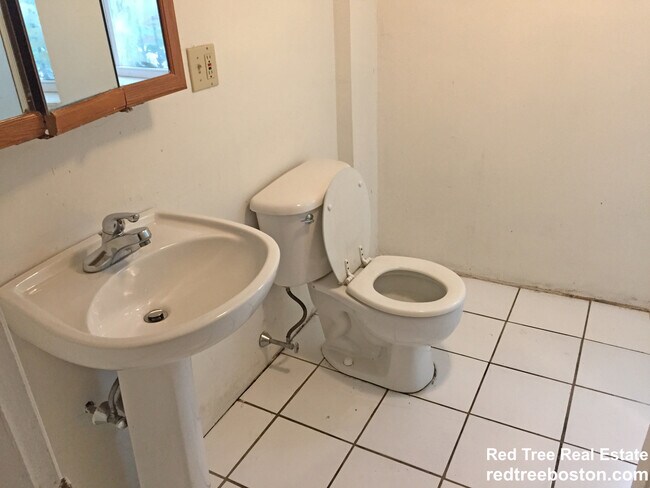 6 Sewall St unit 1, Roxbury Crossing, MA 02120 - photo 6