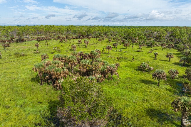 Wildlife enthusiasts enjoy spotting native birds and animals in Atlantic Ridge Preserve.