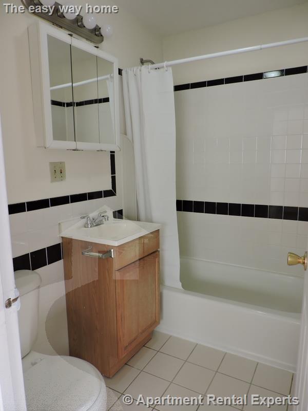 17 Pine St unit 1, Cambridge, MA 02139 - photo 7