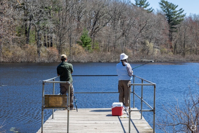 The fish are always nibbling at Pond Meadow Park in East Braintree.