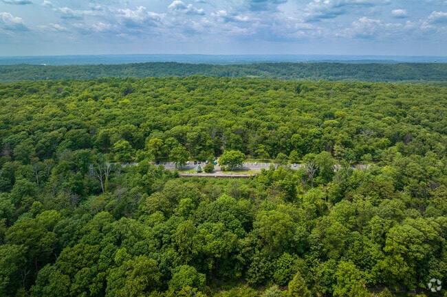 South Mountain Reservation, adjacent to Maplewood, NJ, shows the vast and dense forested area.