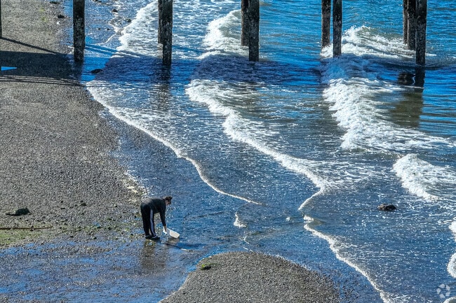 Search for shells under the Redondo Park pier.