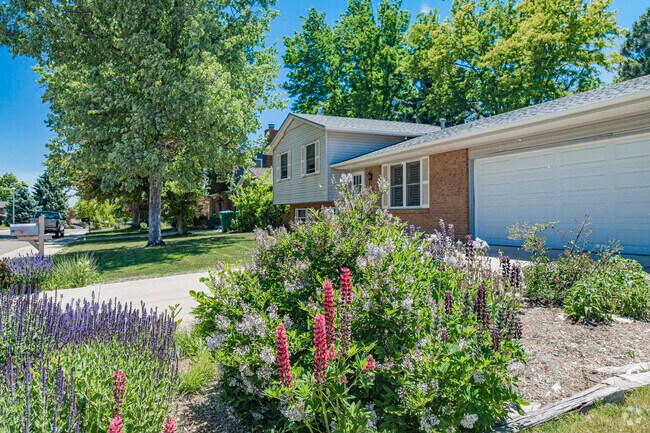 Ample yards with wildflowers planted in Leawood, Littleton, CO.