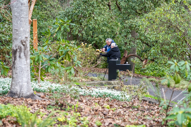 Visitors photograph the blooming flowers at the Rhododendron Gardens near Glenwood.
