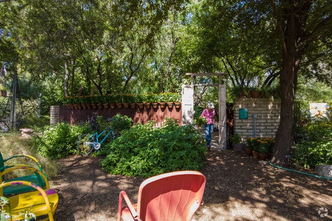 Workers carefully maintain the Tucson Botanical Gardens.