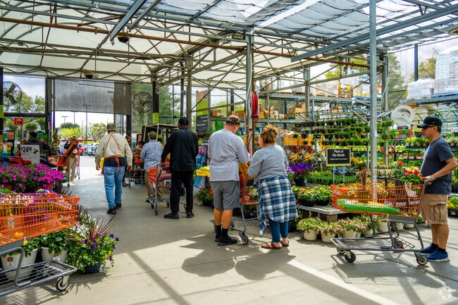 Locals choose fresh blooms from the Garden Center in De Anza, San Jacinto for home gardens.