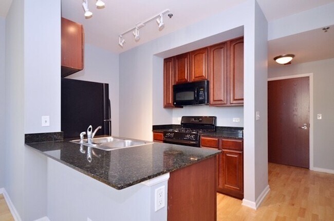 Vision on State unit 1909, Chicago, IL 60605 - photo 2