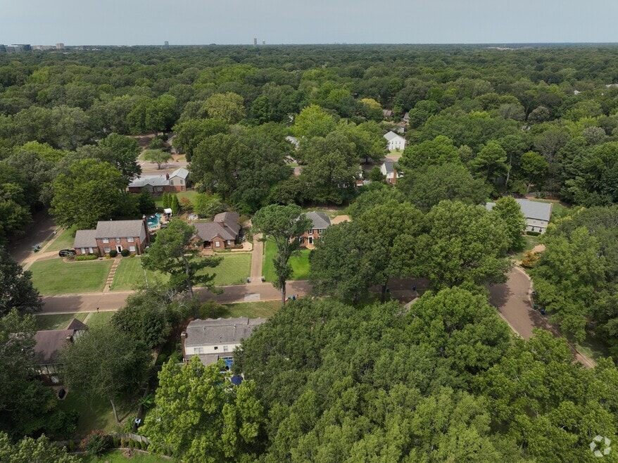 1353 Cattail Cove, Germantown, TN 38138 - photo 2