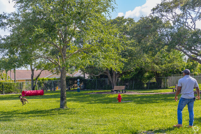 Maddock Park where pups come to have a good time.