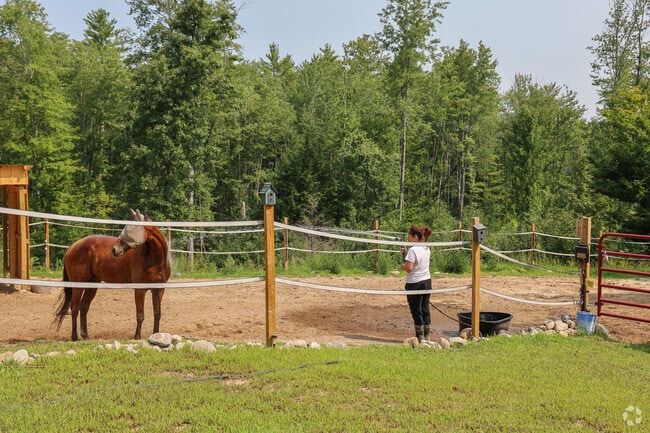 Webster is a farm friendly town with plenty of livestock.