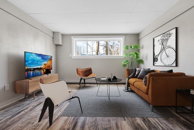 Living Area with Natural Light