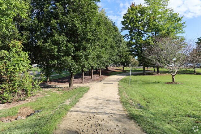 Leinbach Park is a great place to for a walk in New Sherwood Forest