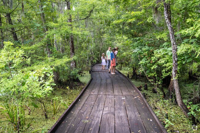 A family discovers wildlife safely from the boardwalks on the Bayous of Barataria Preserve.