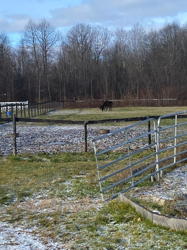 4924 Ny-96, Shortsville, NY 14548 - photo 6