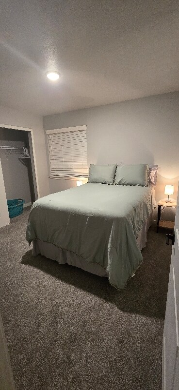 618 Apex Trail, Ault, CO 80610 - photo 4