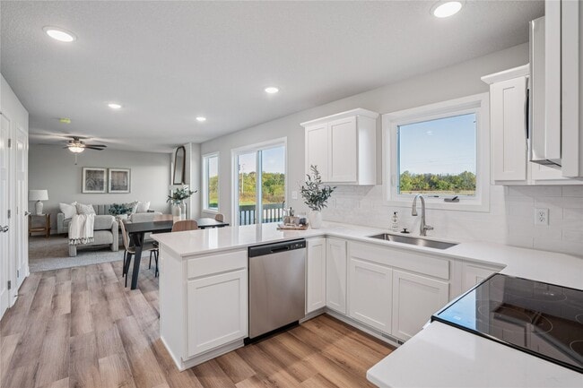 25087 Bluebird Cir, Adel, IA 50003 - photo 4