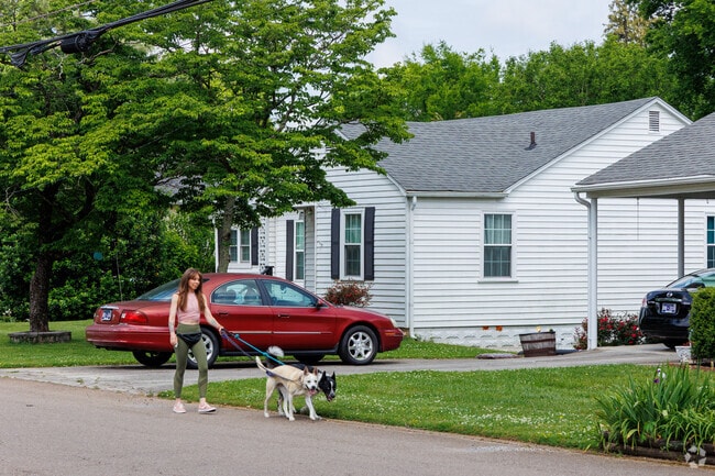 A Fountaincrest resident walks with her dogs on a spring morning.