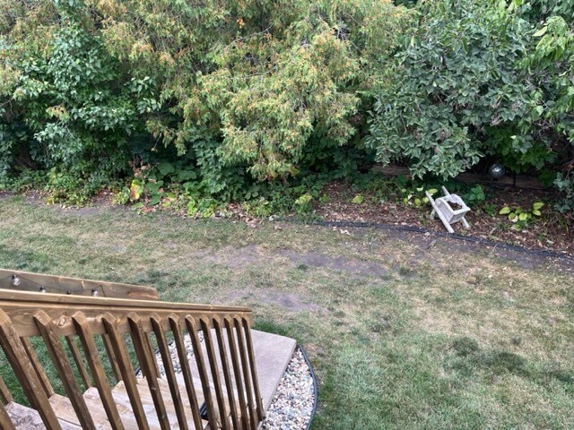 Private wooded area can be used for container gardening, flowers or extra feeders for the birds