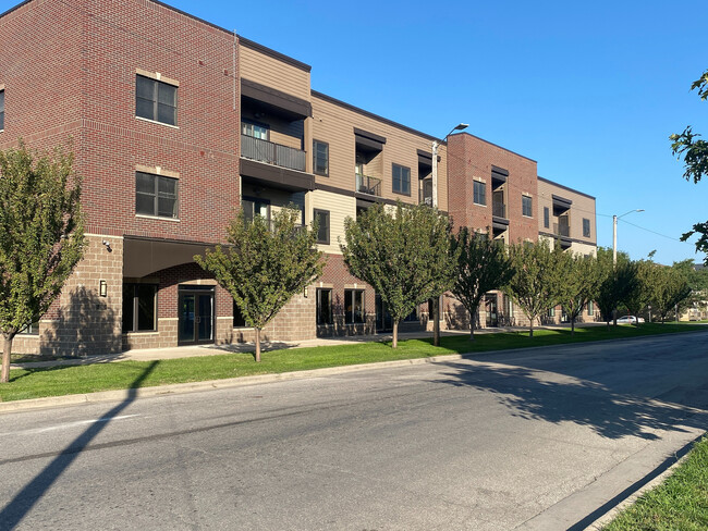 NewBo Ivy Outside IMG_5602