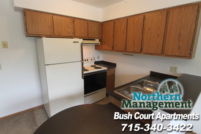 Bush Court, Stevens Point, WI 54481 - photo 6