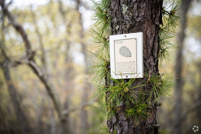 Warwick City Park in Greenwood is home to a diverse array of native New England trees in RI.