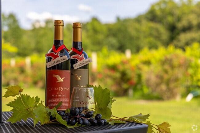 Coda Rossa Winery in Franklin Township serves delicious wine and snacks all weekend long.