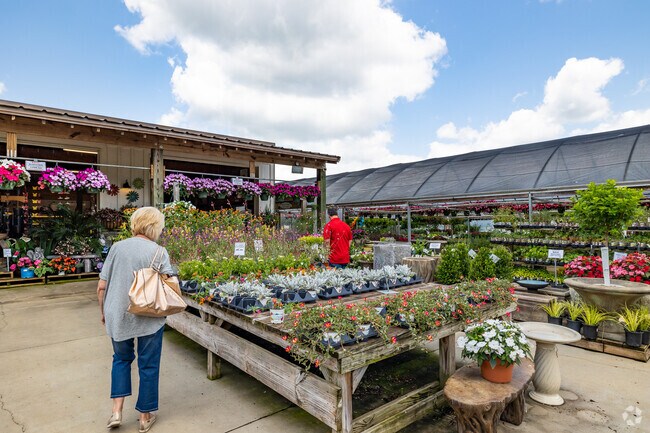 A profusion of flowering bushes await for Camelia residents at Garden Express.