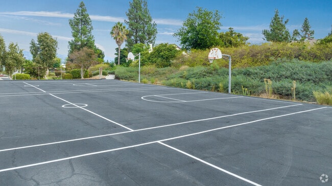 Chaparral High School offers a basketball court for its students.