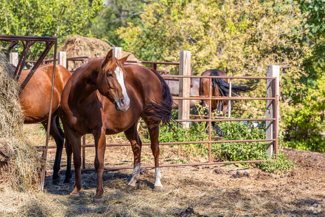 Fort Redman is home to Urban Acres Horse Rescue.