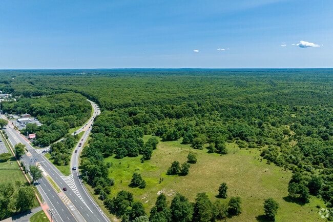 The Rocky Point Pine Barrens are on the south side of Route 25A.