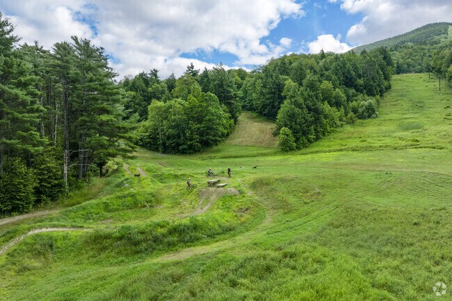 Windsor bikers size up the jumps at the bike park on Mount Ascutney.