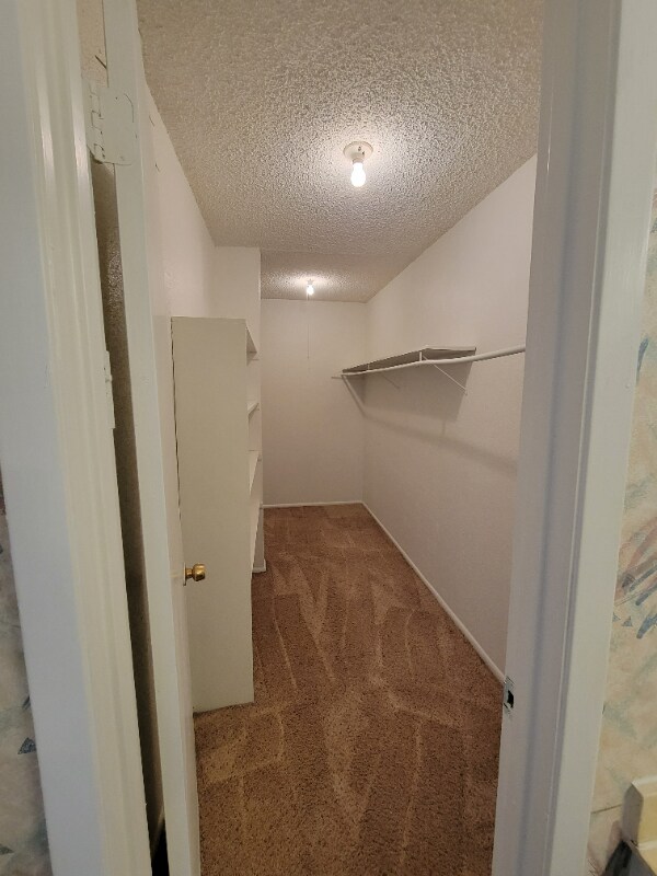 203 Sprucewood Ln unit B, San Antonio, TX 78216 - photo 5