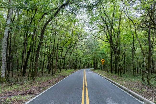 Many of the tree canopy roads in Withlacoochee Heights could be a park in their own right.
