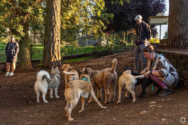 Terrace Creek Park near Gateway includes an off-leash dog area for pet owners.