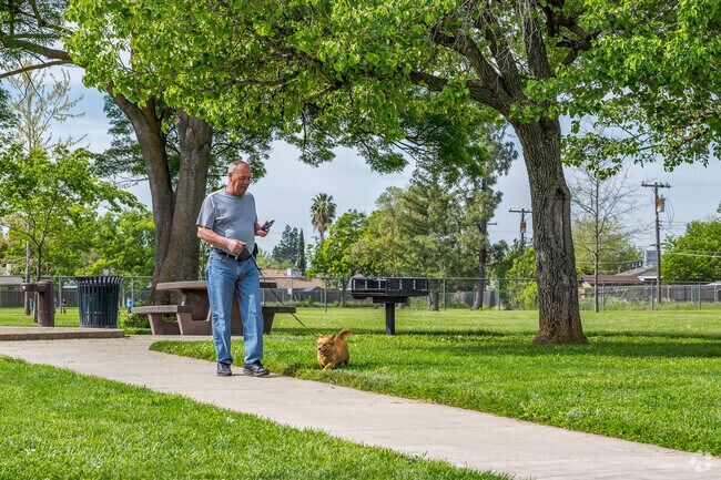 Your dog will love the wide open spaces at Countryside Park.
