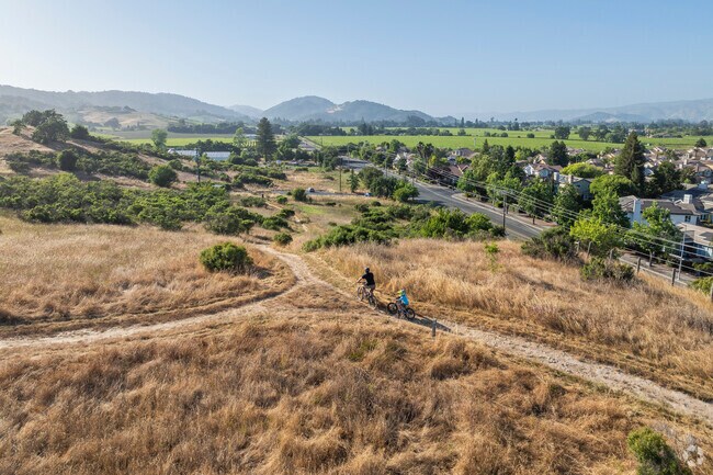 Alston Park detours into the shaded canyon by Vineyard Estates.
