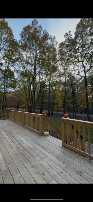 106 Lenape Trail, Albrightsville, PA 18210 - photo 3