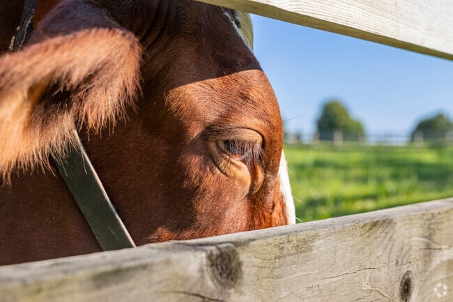 Bring the kids to Kirtland's Farmpark for an up-close experience with a variety of farm animals.