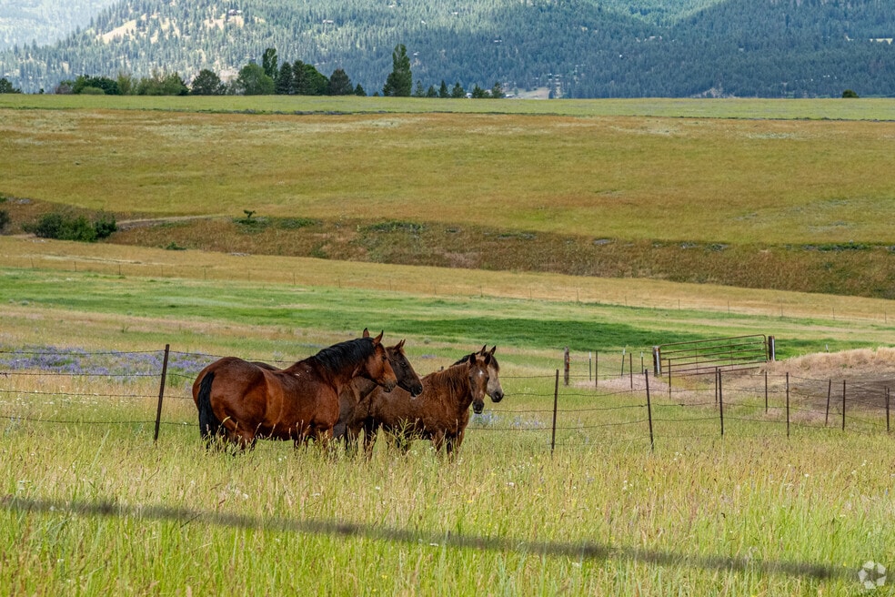 HD_FarviewsPatteeCanyon_552872_P2_V1_JK_080924