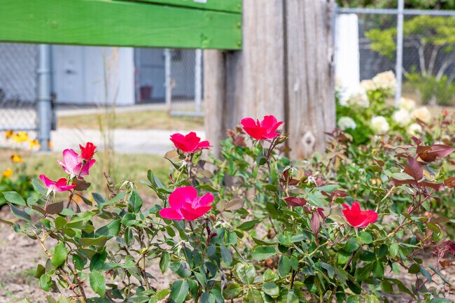 A pop of colors decorate the sidewalks of Zion, IL.