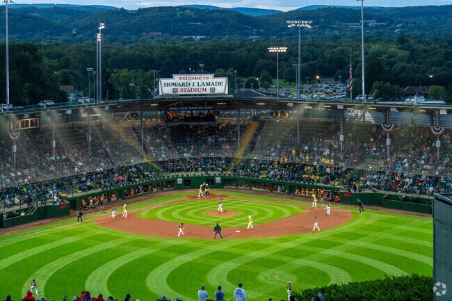 Catch a game at the Little League World Series, a yearly event just outside of Garden View.