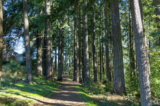 The Saum Creek Greenway offers a shady walk beneath towering fir trees in Tualatin East.