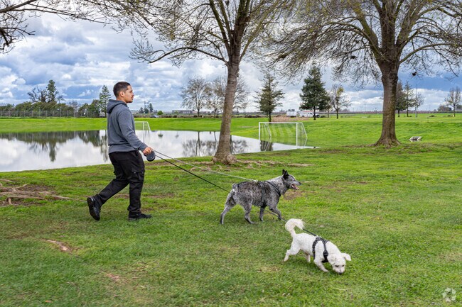 Centennial Park is a great place to walk dogs in Dinuba.