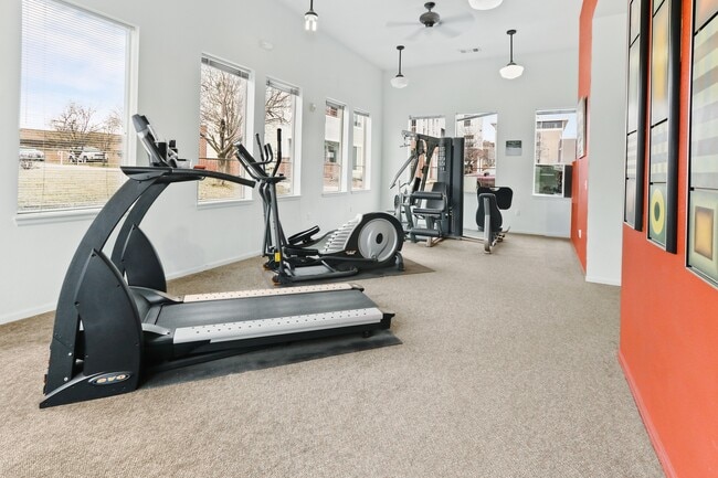 Homewood Point, Colorado Springs, CO 80903 - photo 3