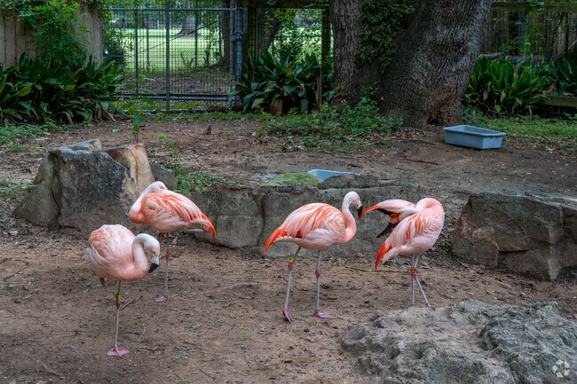 The Alexandria Zoo is a popular attraction for The Lakes District.