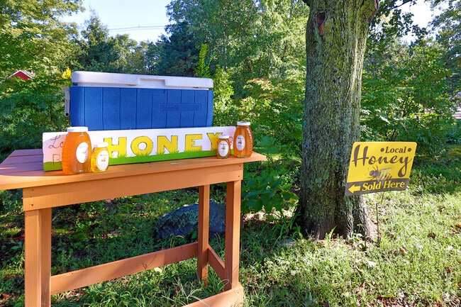 Stop by for local honey on Forest Street in Middleton.